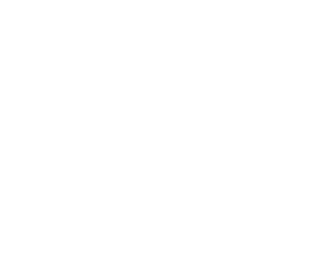 Restraubt Reduction Network Member